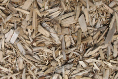 biomass boilers Tullos